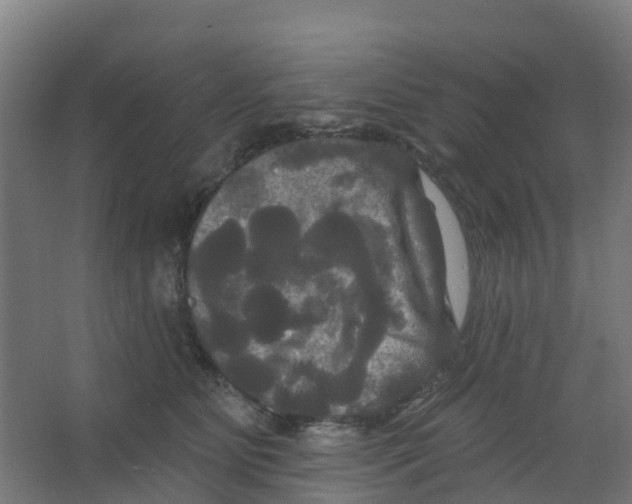 X0000066930515200604142001