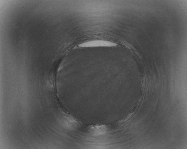 X0000066930517200604142001