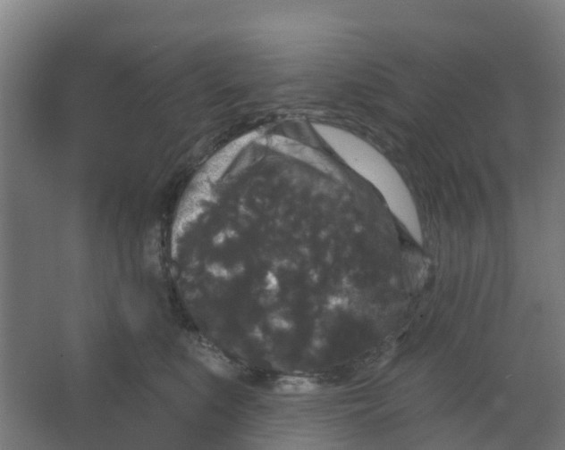 X0000066930519200604142001