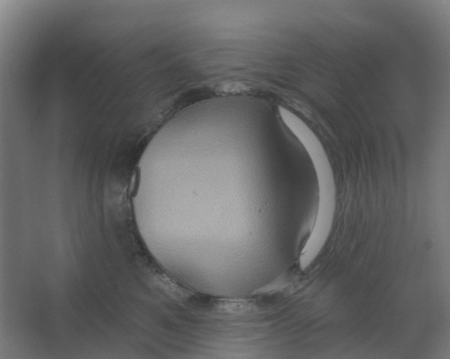 X0000066930521200604142001