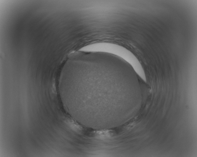 X0000066930524200604142001