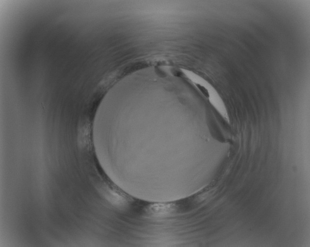 X0000066930526200604142001