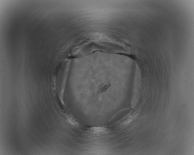 X0000066930528200604142001