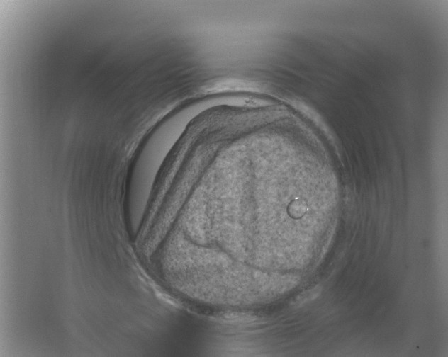 X0000066930529200604142000