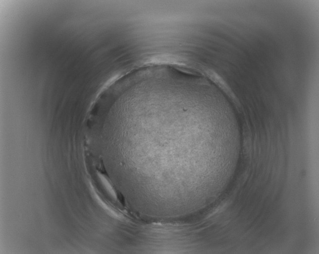 X0000066930530200604142000