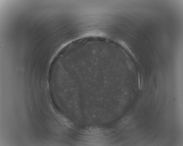 X0000066930531200604142000