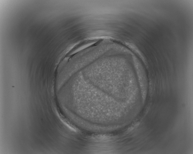 X0000066930533200604142000