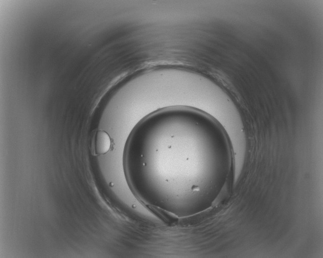 X0000066930534200604142000