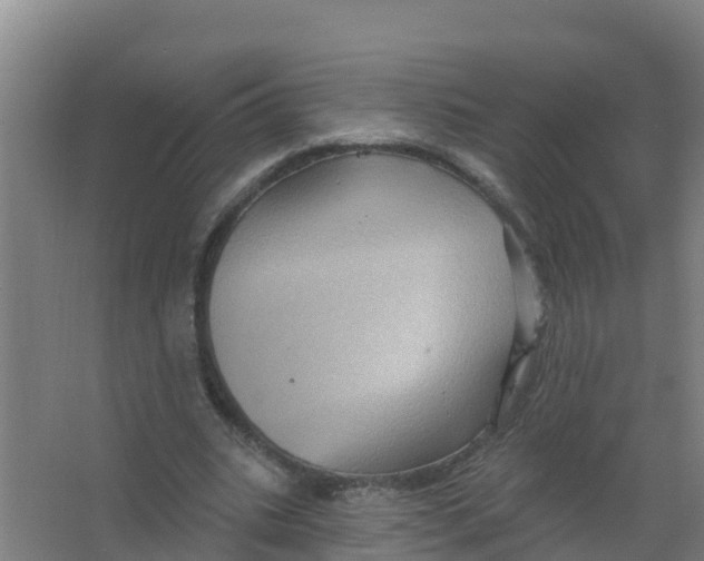 X0000066930535200604142000