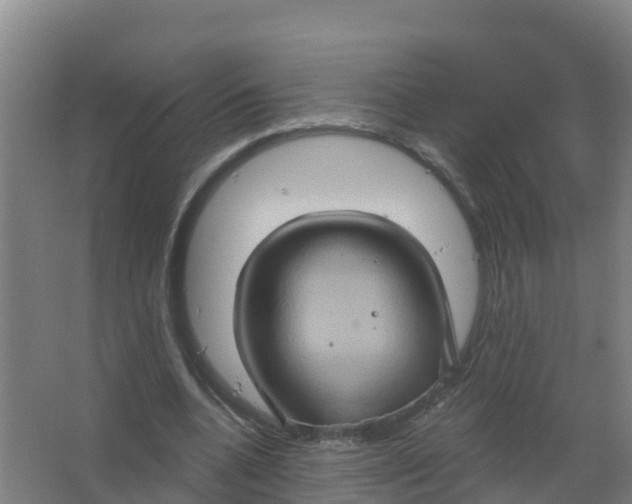 X0000066930536200604142000