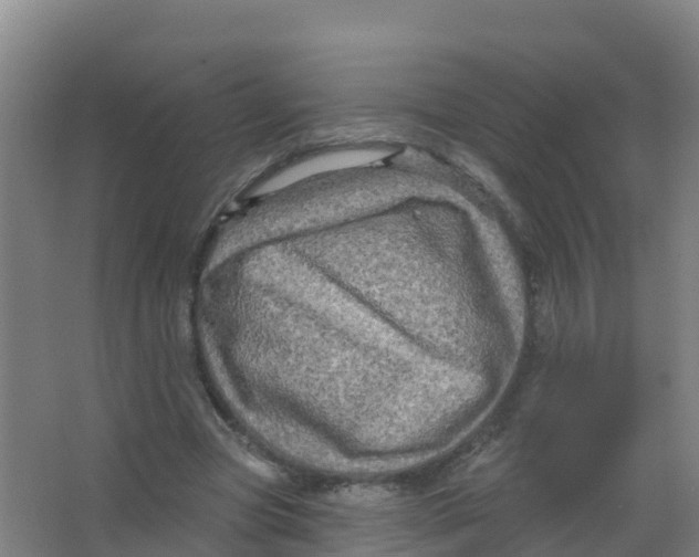 X0000066930537200604142000