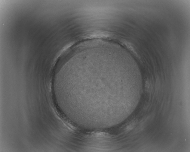 X0000066930539200604142000