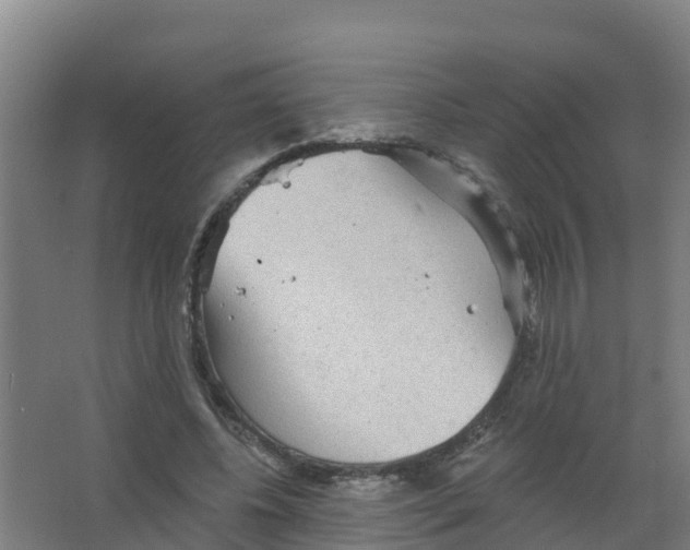 X0000066930540200604142000