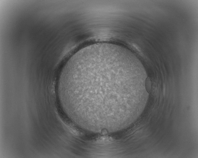 X0000066930543200604142000