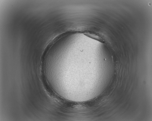 X0000066930544200604142000