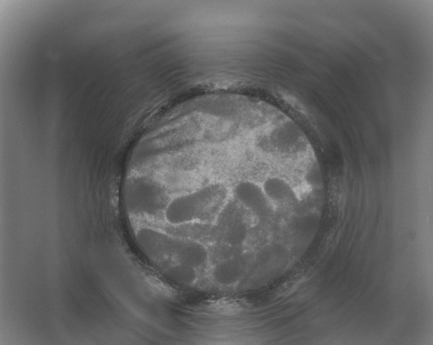 X0000066930545200604142000