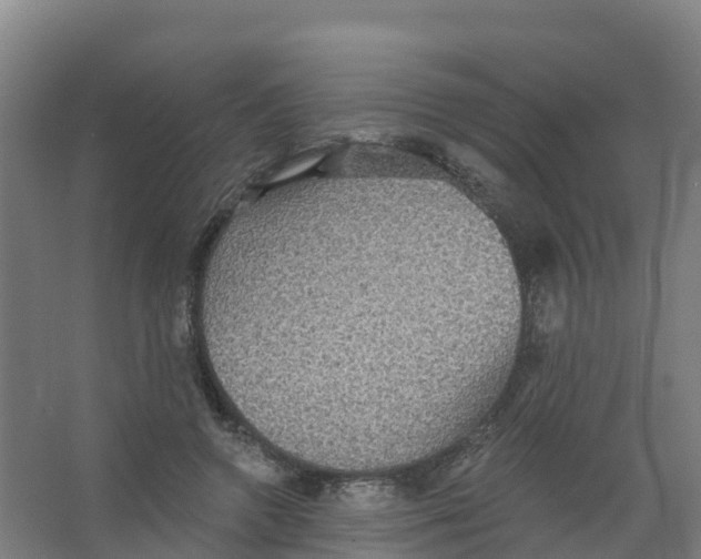 X0000066930546200604142000