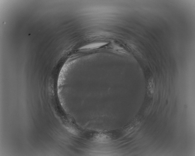 X0000066930547200604142000