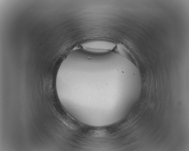 X0000066930548200604142000