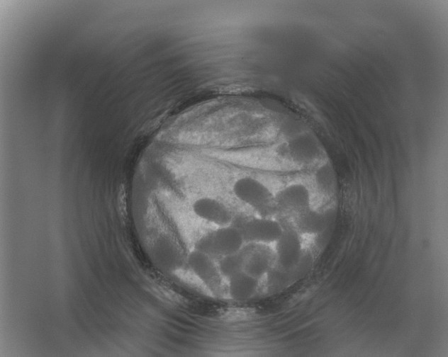 X0000066930549200604142000