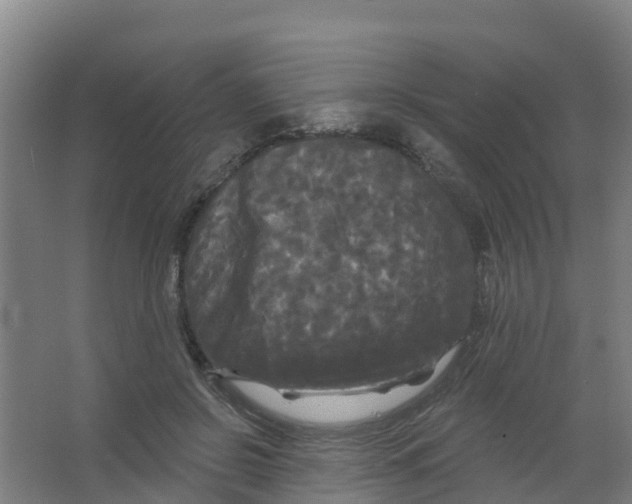 X0000066930550200604142000