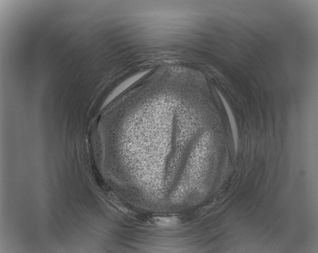 X0000066930552200604142000