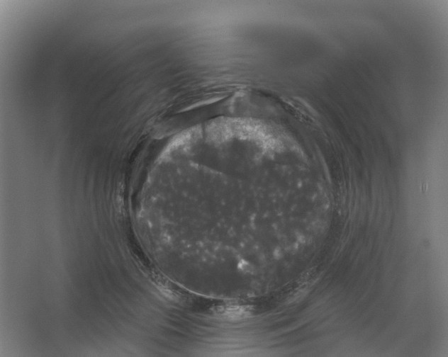 X0000066930553200604142000