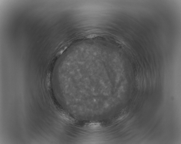 X0000066930554200604142000