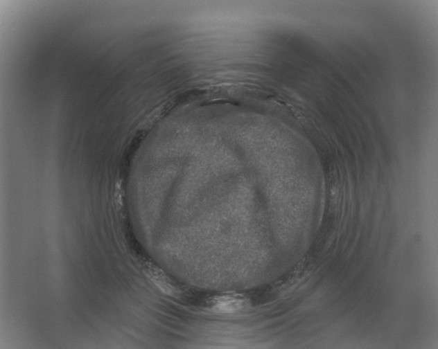 X0000066930555200604142000