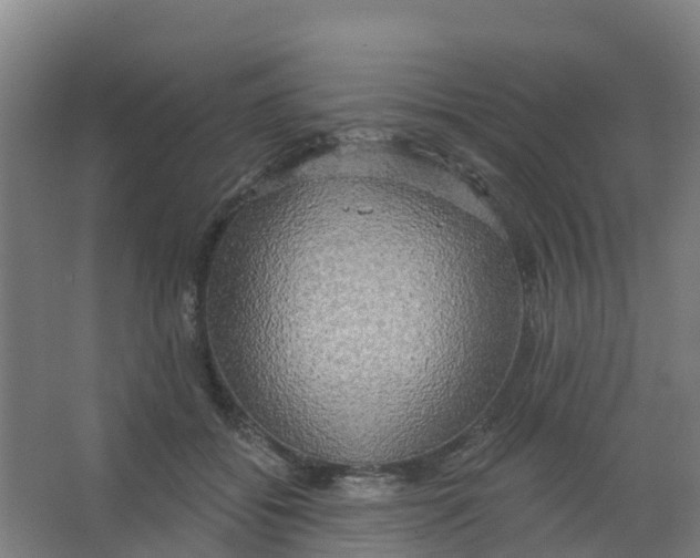 X0000066930556200604142000