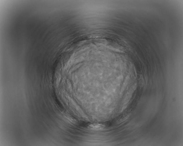 X0000066930557200604142000