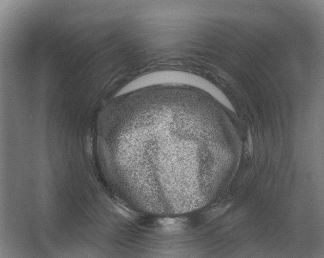 X0000066930558200604142000