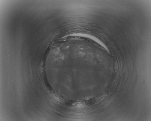 X0000066930559200604142000