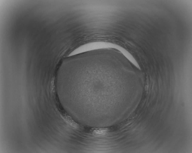 X0000066930560200604142001