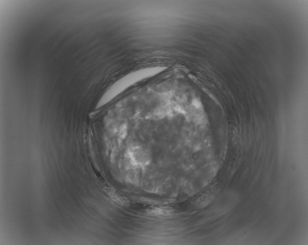 X0000066930561200604142001