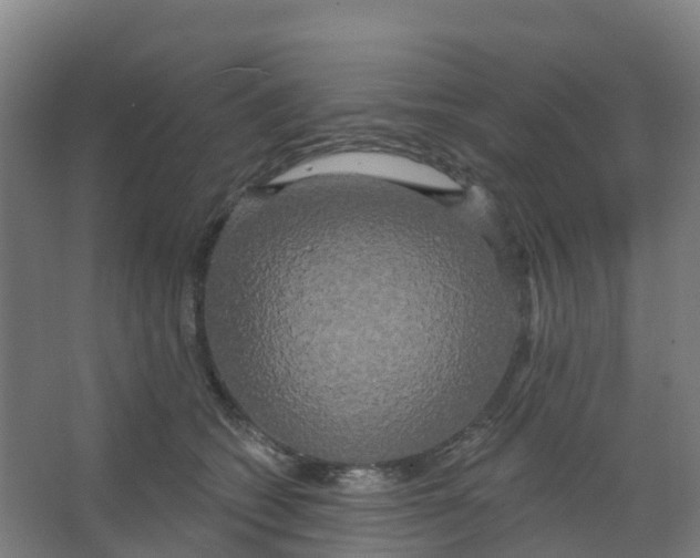 X0000066930562200604142001