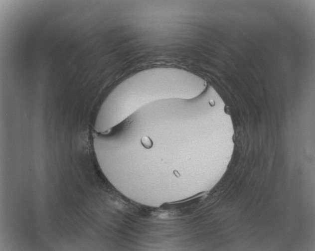 X0000066930564200604142001