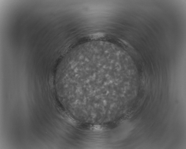 X0000066930565200604142001