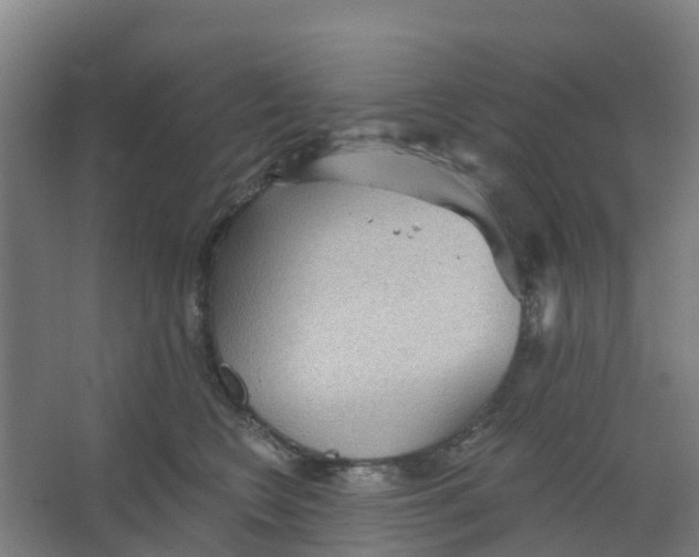 X0000066930566200604142001