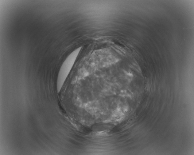 X0000066930569200604142001