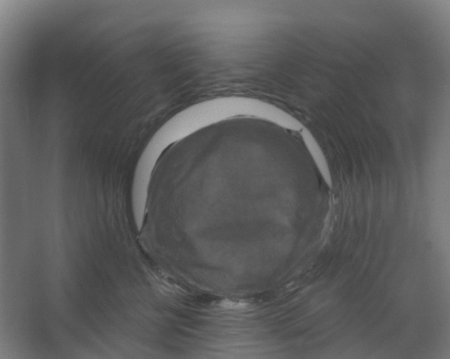 X0000066930570200604142001