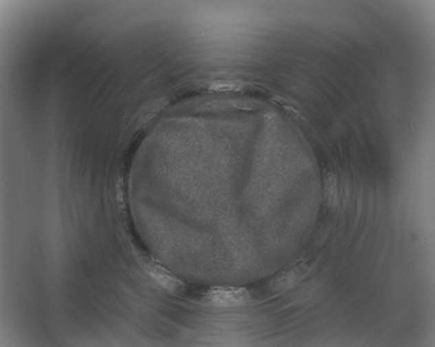 X0000066930571200604142001