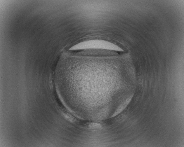 X0000066930572200604142001