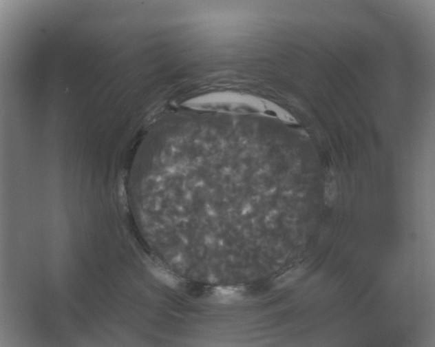 X0000066930573200604142001