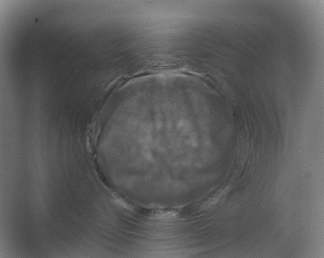 X0000066930576200604142001