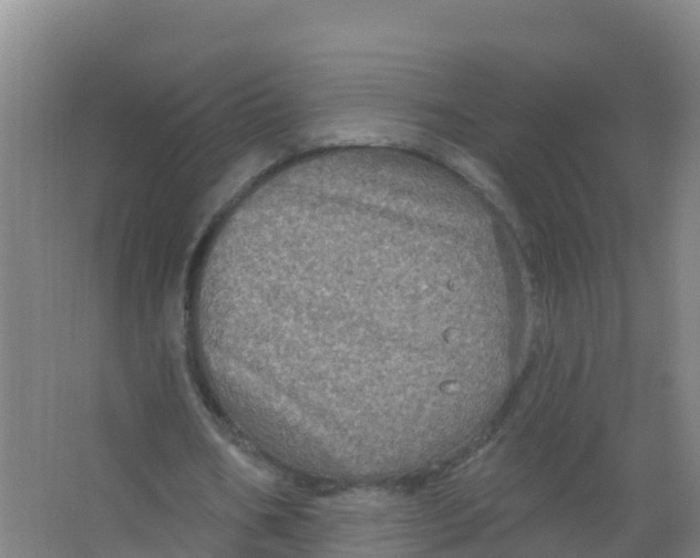 X0000066930578200604142000