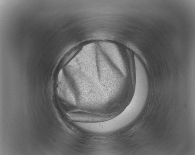 X0000066930580200604142000