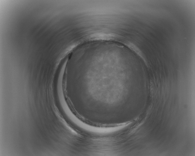 X0000066930581200604142000