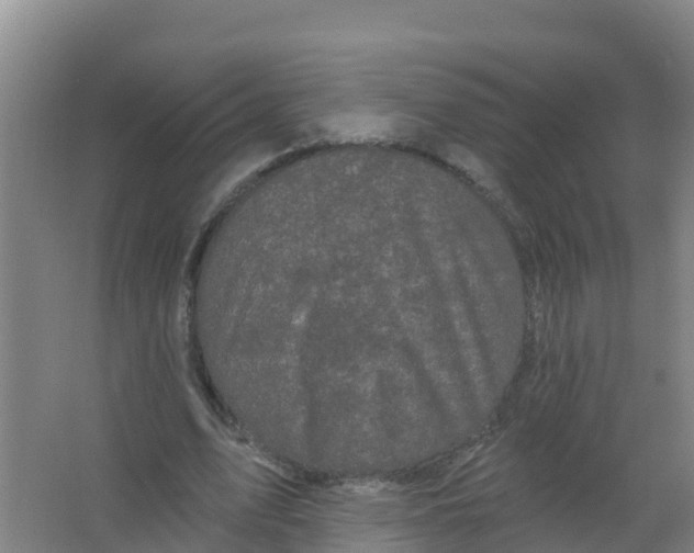 X0000066930583200604142000