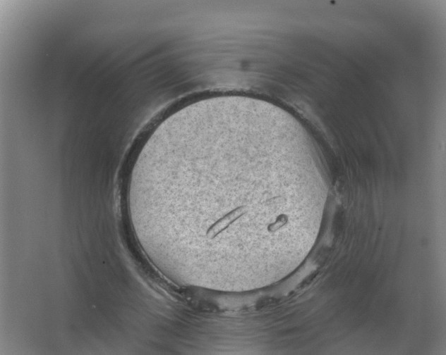 X0000066930584200604142000